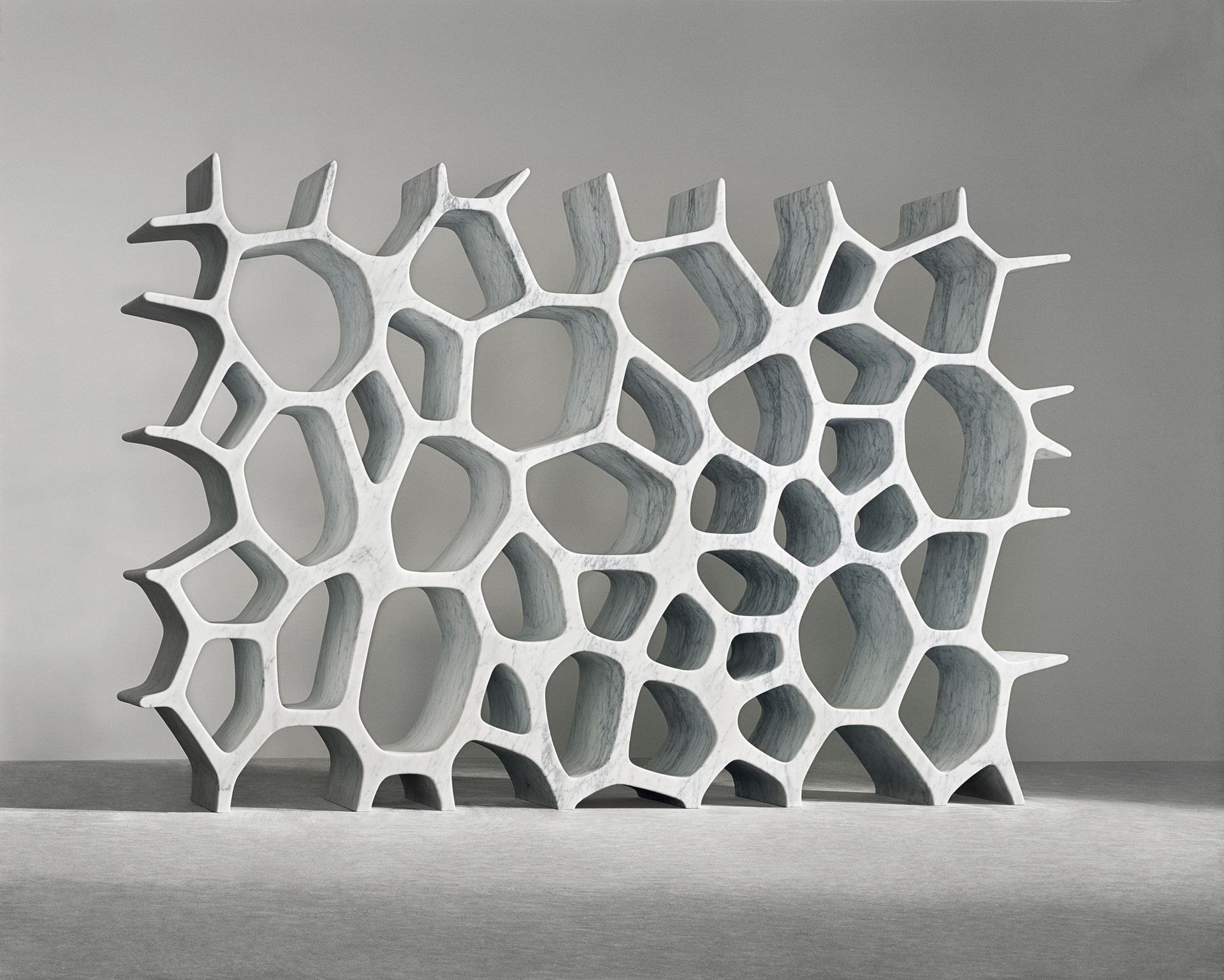 Voronoi Shelf 