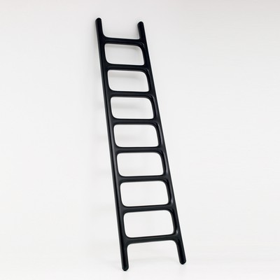 Carbon Ladder <br>Galerie kreo  2009