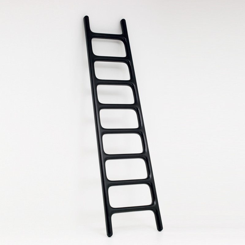 Carbon Ladder <br>Galerie kreo  2008